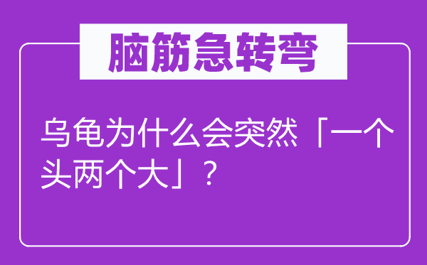 脑筋急转弯：乌龟为什么会突然「一个头两个大」？