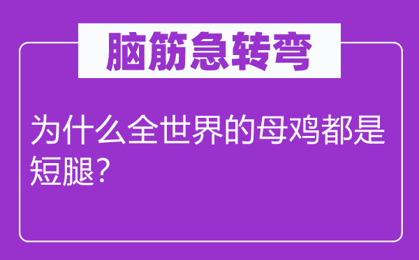 脑筋急转弯：为什么全世界的母鸡都是短腿？