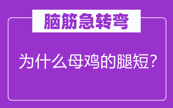 脑筋急转弯：为什么母鸡的腿短？