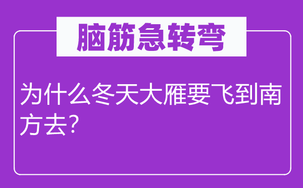 脑筋急转弯：为什么冬天大雁要飞到南方去？