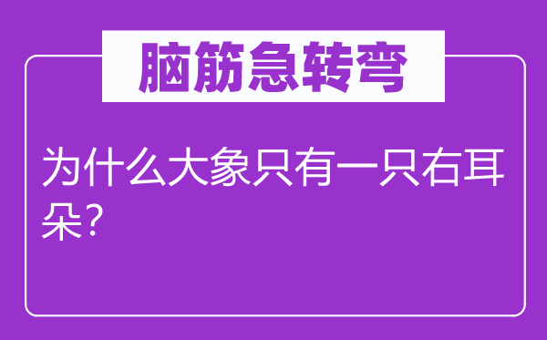 脑筋急转弯：为什么大象只有一只右耳朵？