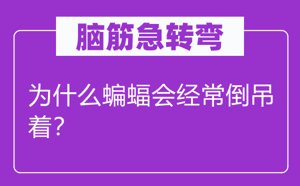 脑筋急转弯：为什么蝙蝠会经常倒吊着？