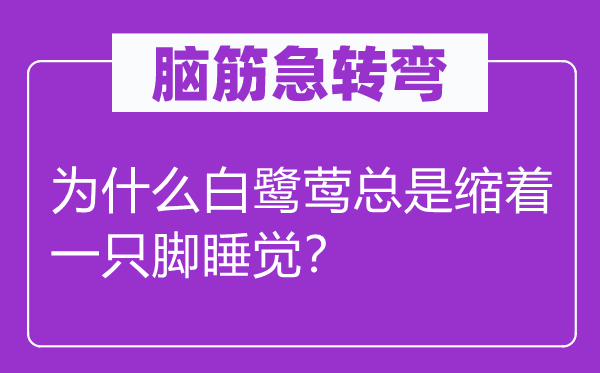 脑筋急转弯：为什么白鹭莺总是缩着一只脚睡觉？