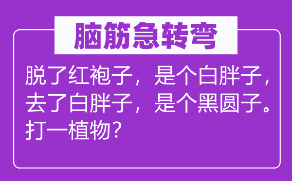 脑筋急转弯：脱了红袍子，是个白胖子，去了白胖子，是个黑圆子。打一植物？