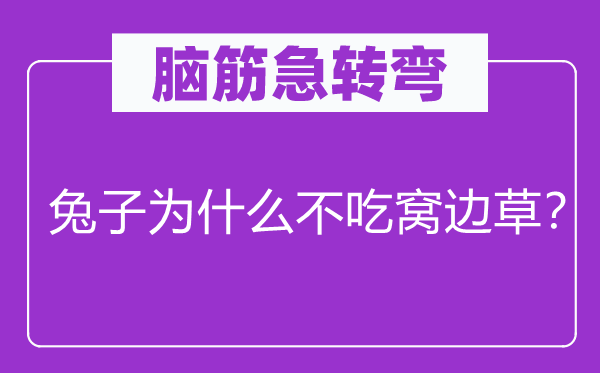 脑筋急转弯：兔子为什么不吃窝边草？