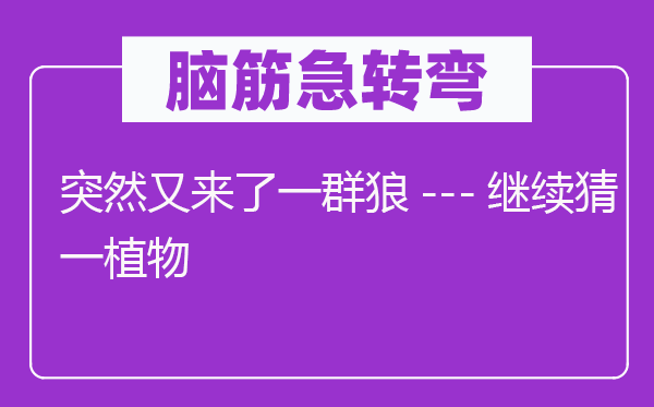 脑筋急转弯：突然又来了一群狼---继续猜一植物