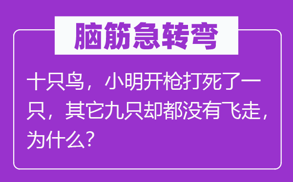 脑筋急转弯：十只鸟，小明开枪打死了一只，其它九只却都没有飞走，为什么？