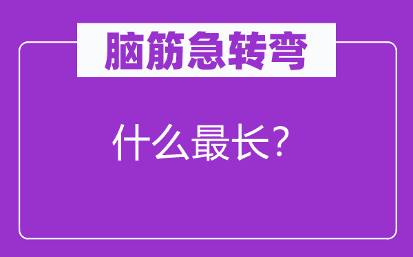 脑筋急转弯：什么最长？