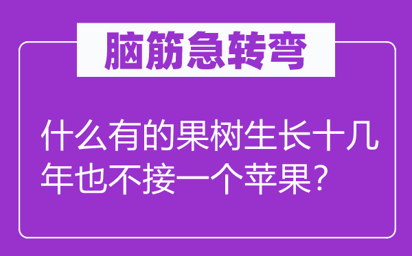 脑筋急转弯：什么有的果树生长十几年也不接一个苹果？