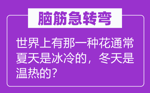 脑筋急转弯：世界上有那一种花通常夏天是冰冷的，冬天是温热的？