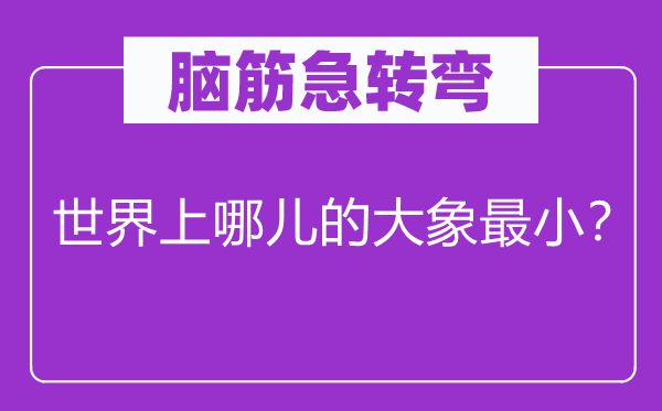 脑筋急转弯：世界上哪儿的大象最小？