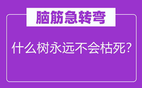 脑筋急转弯：什么树永远不会枯死？