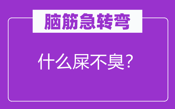 脑筋急转弯：什么屎不臭？