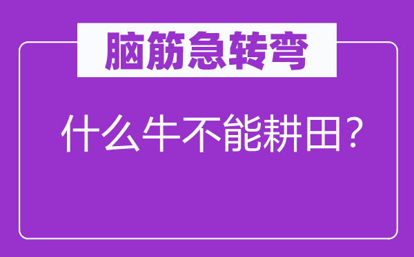 脑筋急转弯：什么牛不能耕田？