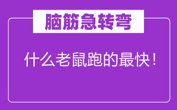 脑筋急转弯：什么老鼠跑的最快！