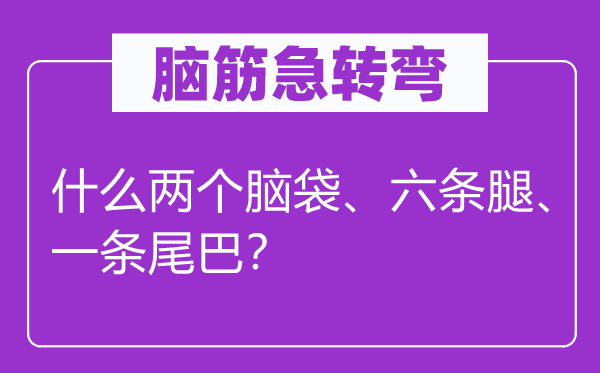 脑筋急转弯：什么两个脑袋、六条腿、一条尾巴？