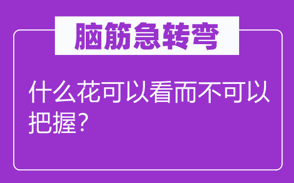 脑筋急转弯：什么花可以看而不可以把握？