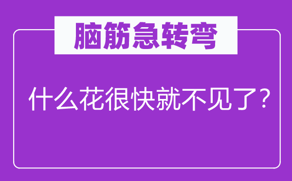 脑筋急转弯：什么花很快就不见了？