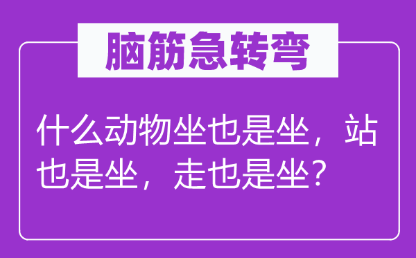 脑筋急转弯：什么动物坐也是坐，站也是坐，走也是坐？