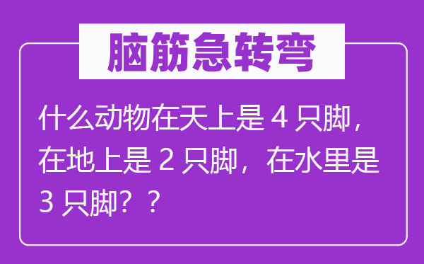 脑筋急转弯：什么动物在天上是4只脚，在地上是2只脚，在水里是3只脚？