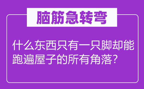 脑筋急转弯：什么东西只有一只脚却能跑遍屋子的所有角落？