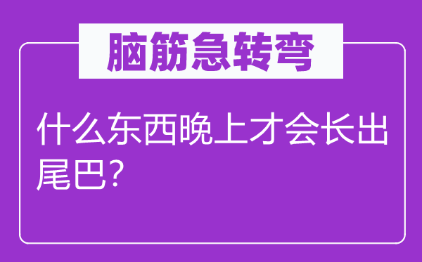 脑筋急转弯：什么东西晚上才会长出尾巴？