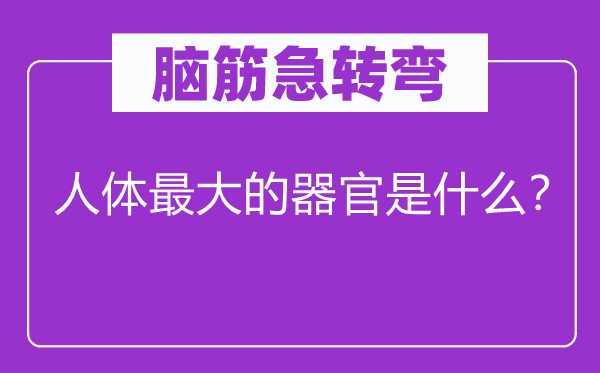 脑筋急转弯：人体最大的器官是什么？