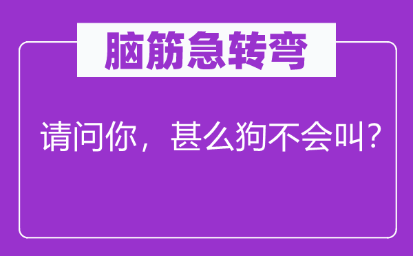 脑筋急转弯：请问你，甚么狗不会叫？