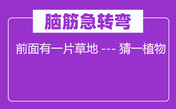 脑筋急转弯：前面有一片草地---猜一植物