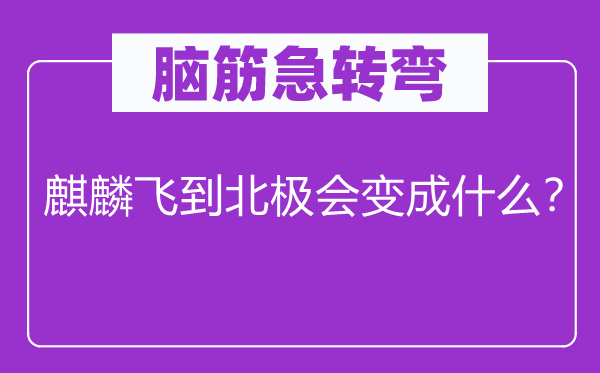 脑筋急转弯：麒麟飞到北极会变成什么？