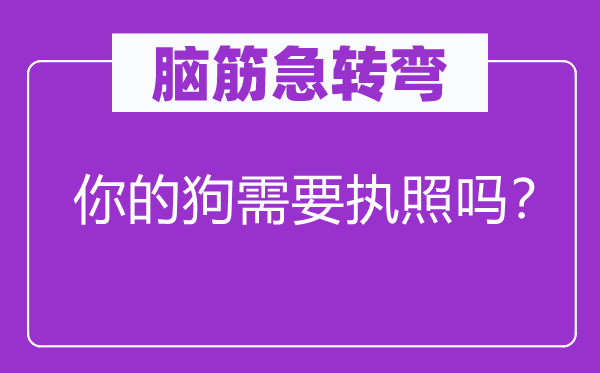 脑筋急转弯：你的狗需要执照吗？