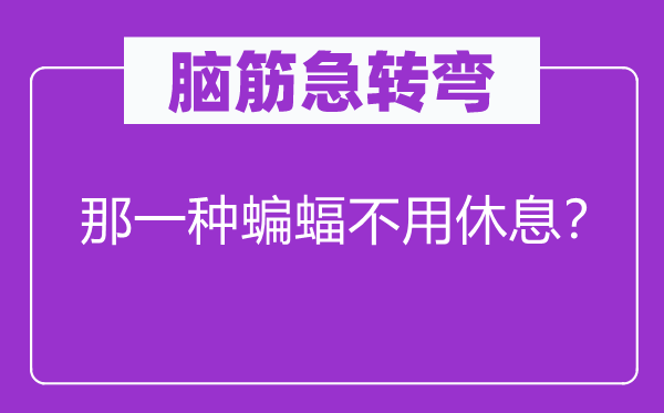 脑筋急转弯：那一种蝙蝠不用休息？