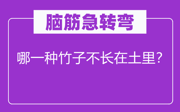 脑筋急转弯：哪一种竹子不长在土里？