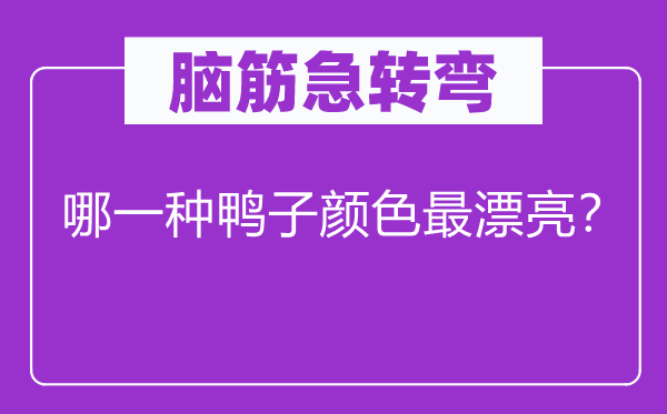 脑筋急转弯：哪一种鸭子颜色最漂亮？