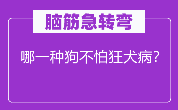 脑筋急转弯：哪一种狗不怕狂犬病？