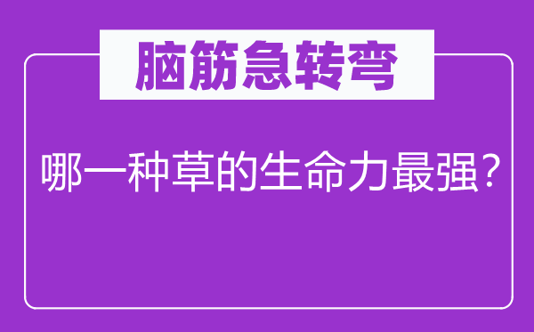 脑筋急转弯：哪一种草的生命力最强？