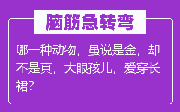 脑筋急转弯：哪一种动物，虽说是金，却不是真，大眼孩儿，爱穿长裙？