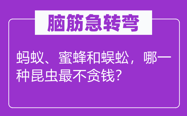 脑筋急转弯：蚂蚁、蜜蜂和蜈蚣，哪一种昆虫最不贪钱？