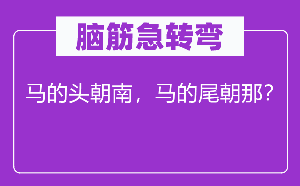 脑筋急转弯：马的头朝南，马的尾朝那？