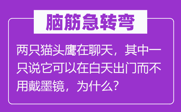 脑筋急转弯：两只猫头鹰在聊天，其中一只说它可以在白天出门而不用戴墨镜，为什么？