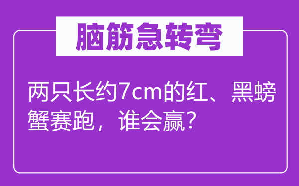 脑筋急转弯：两只长约7cm的红、黑螃蟹赛跑，谁会赢？