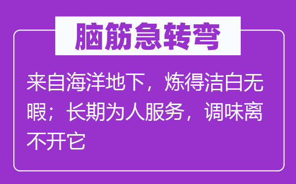 脑筋急转弯：来自海洋地下，炼得洁白无暇；长期为人服务，调味离不开它