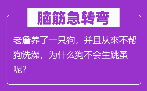 脑筋急转弯：老詹养了一只狗，并且从來不帮狗洗澡，为什么狗不会生跳蚤呢？