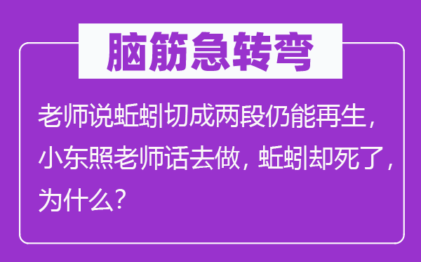 脑筋急转弯：老师说蚯蚓切成两段仍能再生，小东照老师话去做，蚯蚓却死了，为什么？