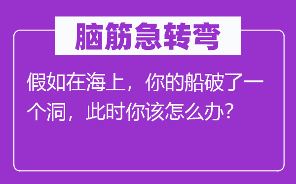 脑筋急转弯：假如在海上，你的船破了一个洞，此时你该怎么办？