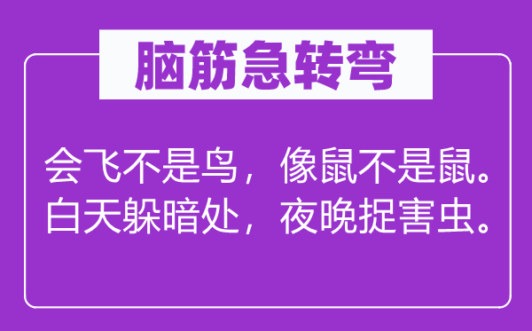 脑筋急转弯：会飞不是鸟，像鼠不是鼠。白天躲暗处，夜晚捉害虫。