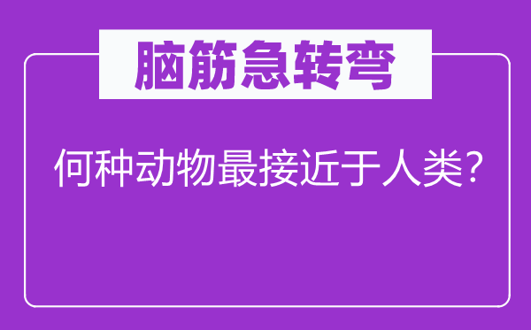 脑筋急转弯：何种动物最接近于人类？