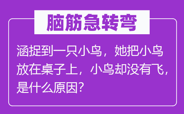 脑筋急转弯：涵捉到一只小鸟，她把小鸟放在桌子上，小鸟却没有飞，是什么原因？