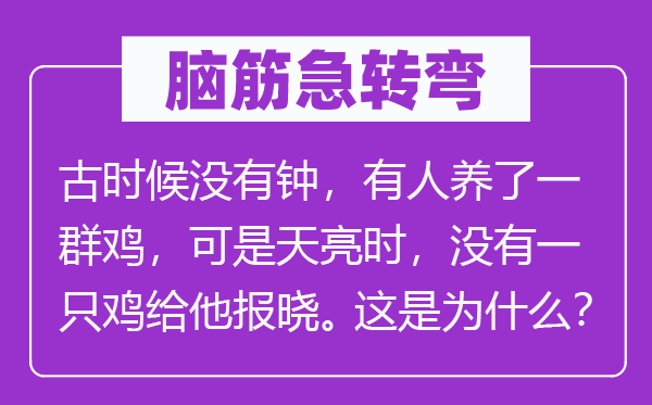 脑筋急转弯：古时候没有钟，有人养了一群鸡，可是天亮时，没有一只鸡给他报晓。这是为什么？