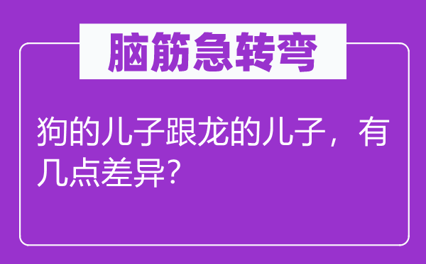 脑筋急转弯：狗的儿子跟龙的儿子，有几点差异？